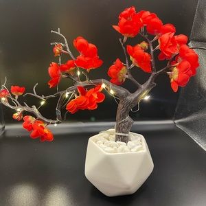 Cherry 🍒 Blossom Tree